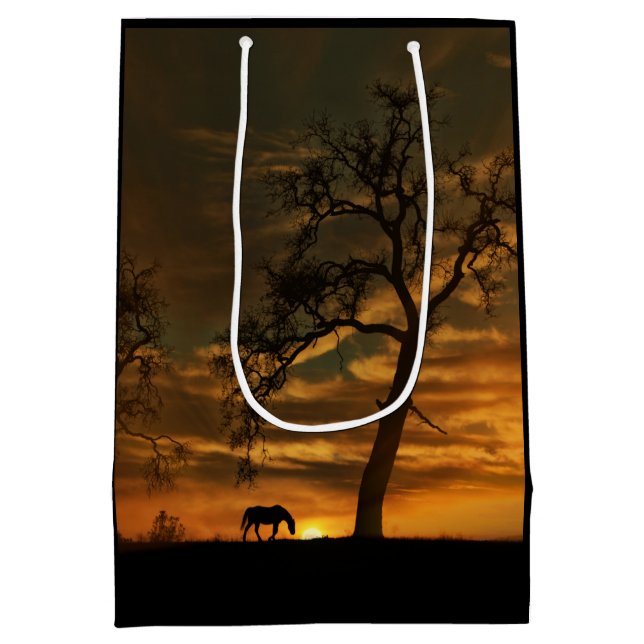 Hermosa bolsa de regalo para caballos del Suroeste (Reverso)