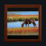 Hermosa caja de conservas de joyas de caballos<br><div class="desc">Esta es la joyería para los amantes de los caballos y todos los que están en medio.</div>