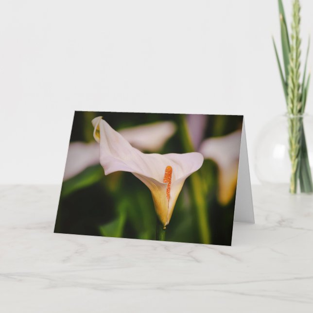 Hermosa carta de notas de flores de Calla Lily en  (Anverso)