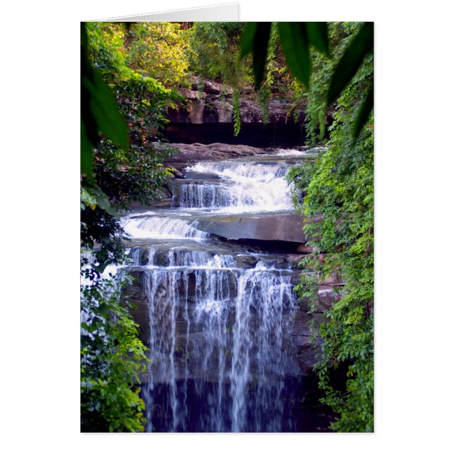 Hermosa cascada (Frente)