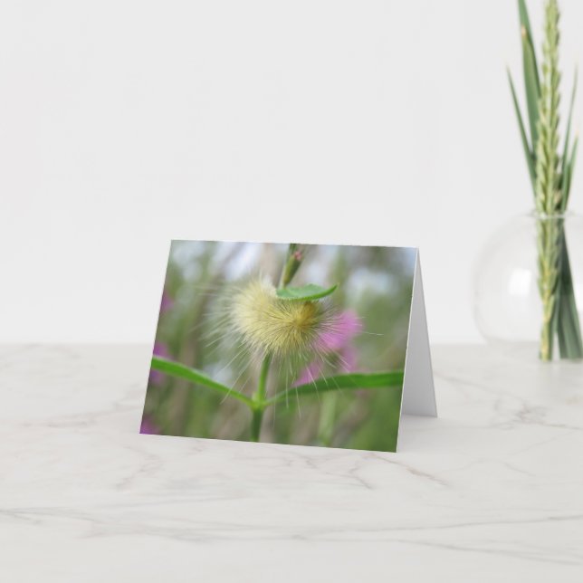 Hermosa Caterpillar - Tarjeta de saludo en blanco (Anverso)
