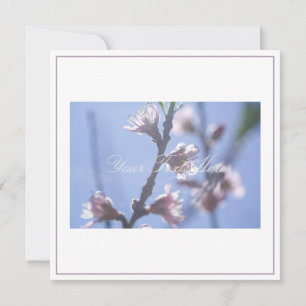 Hermosa cereza pálida florece tu tarjeta plana de 