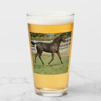 Hermosa cría de caballos en un campo