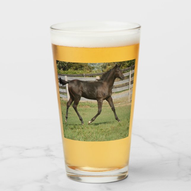 Hermosa cría de caballos en un campo (Anverso (lleno))