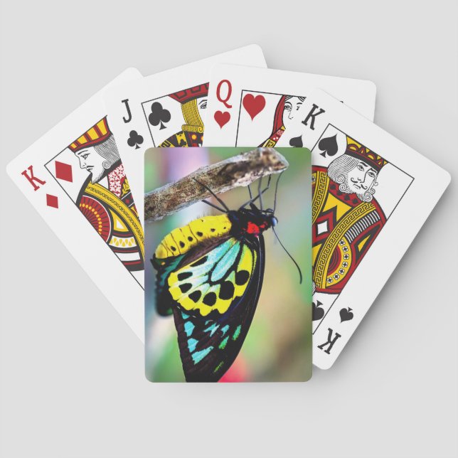 Hermosa cubierta de mariposa para jugar cartas (Reverso)