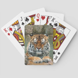 Hermosa cubierta de tigre para jugar cartas