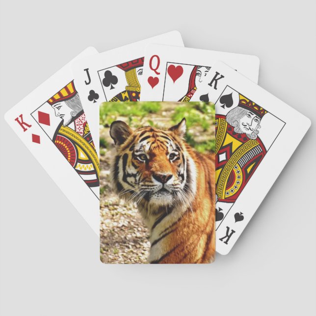 Hermosa cubierta de tigres para jugar cartas (Reverso)