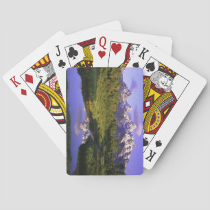 Hermosa cubierta exterior para jugar cartas