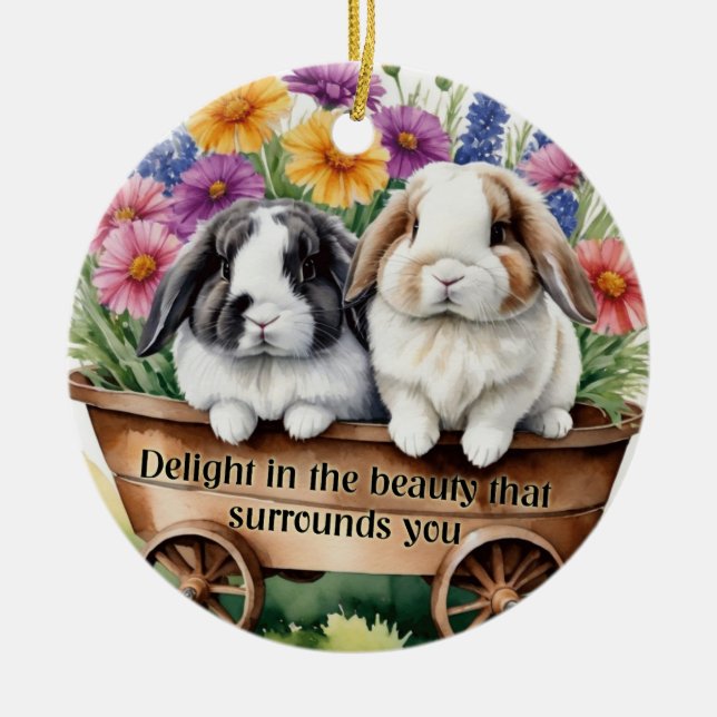 Hermosa decoración de Bonito de conejo conejo lop (Frente)