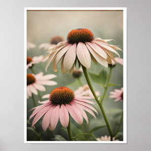 Hermosa Echinacea Flor Poster arte de pared
