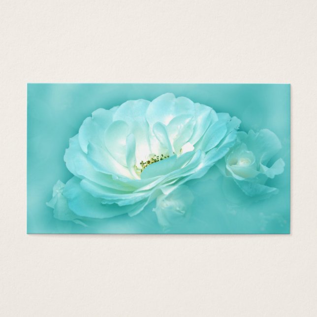 Hermosa equina (Frente)