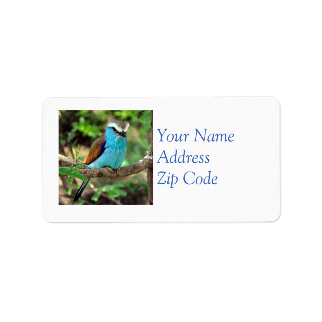 Hermosa etiqueta de correo de Bluebird (Frente)