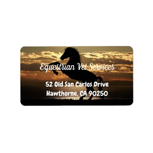 Hermosa etiqueta de dirección de caballo (Frente)