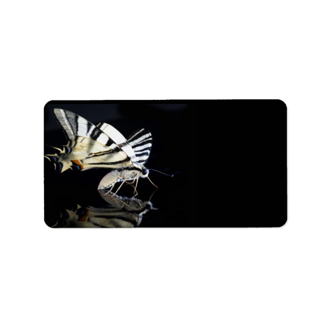 Hermosa etiqueta de mariposa (Frente)