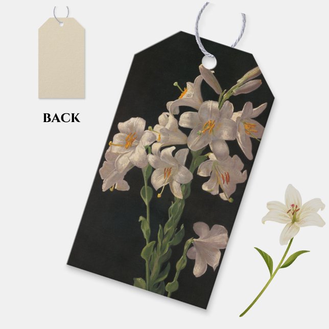 Hermosa etiqueta de regalo para lienzos blancos de (Elegant white lilies gift tags, for Easter gifting or at any time of year!)