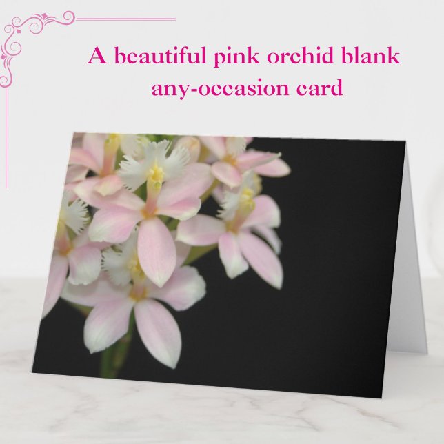 Hermosa flor de orquídea rosa en negro - tarjeta e (A beautiful pink orchid floral blank, any-occasion card.)