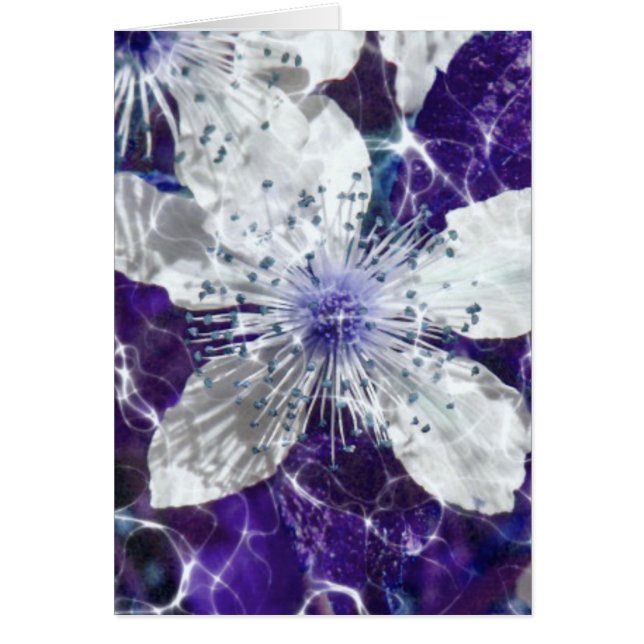 Hermosa flor floreciente (Frente)