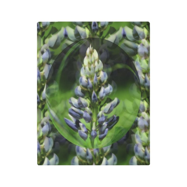 Hermosa Flor Lupine Resumen Arte floral Metalizado (Anverso)