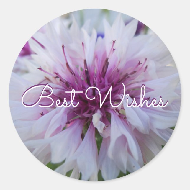 Hermosa flor. Pegatina redondo clásico (Anverso)