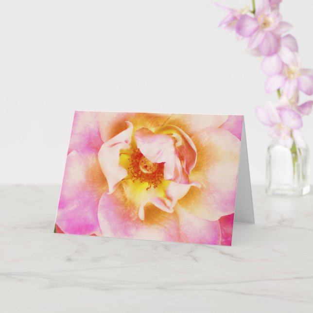 Hermosa flor rosa rosa cierra carta de notas de ar (Orquídea)