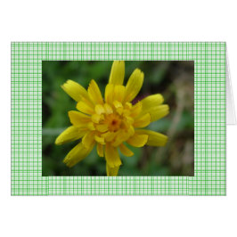 Hermosa flor silvestre amarilla y águilas