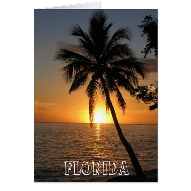 Hermosa Florida (Frente)