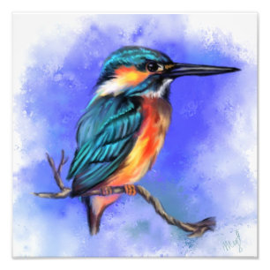 Hermosa foto de aves de Kingfisher