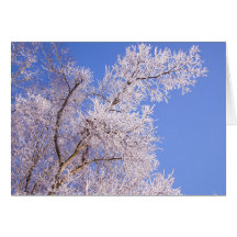 Hermosa foto de escena de nieve