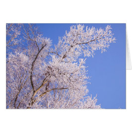 Hermosa foto de escena de nieve