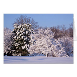 Hermosa foto de escena de nieve