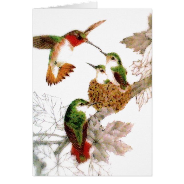 Hermosa foto de Hummingbirds (Frente)