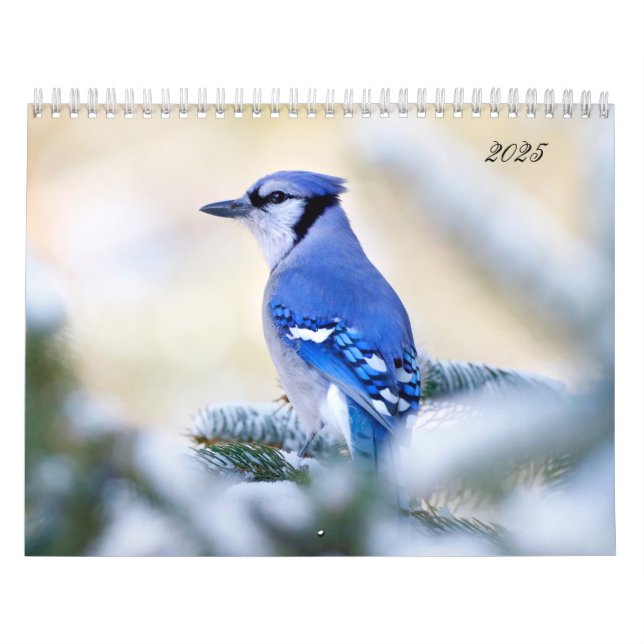 Hermosa foto de pájaro calendario de pared canción (Tapa)