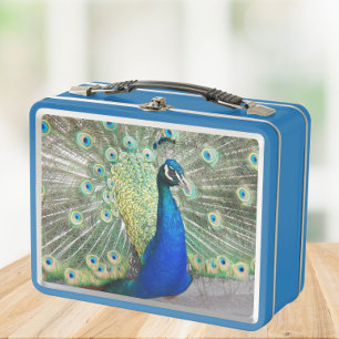 Hermosa foto de pavo real azul
