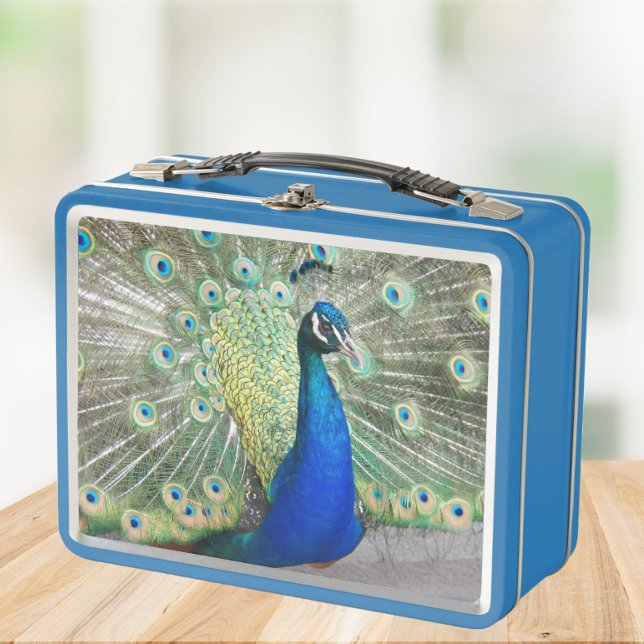 Hermosa foto de pavo real azul (In Situ Table)