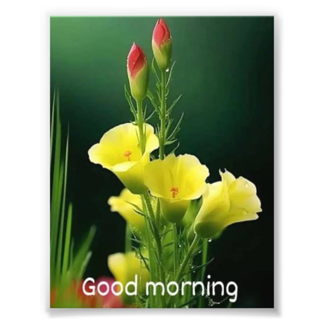 hermosa foto flauta (Frente)