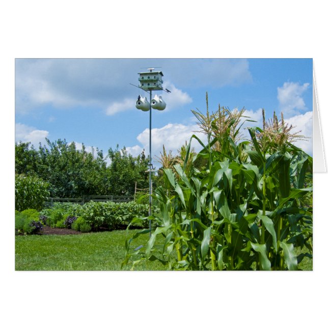 Hermosa foto vegetal en el jardín (Anverso (Horizontal))
