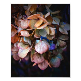 Hermosa fotografía de flor natural