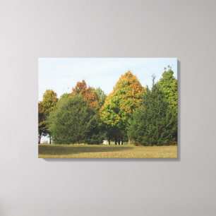 Hermosa fotografía de hojas de otoño del arte de W