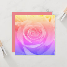 Hermosa fotografía rosa amarilla