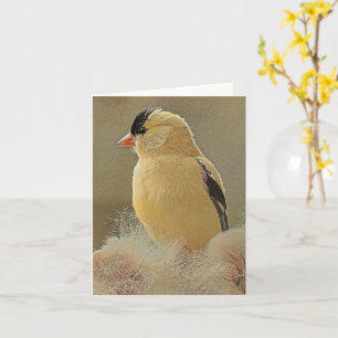 Hermosa Goldfinch - Tarjeta de felicitación en bla