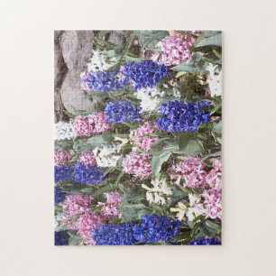Hermosa Hyacinths de Primavera Rompecabezas