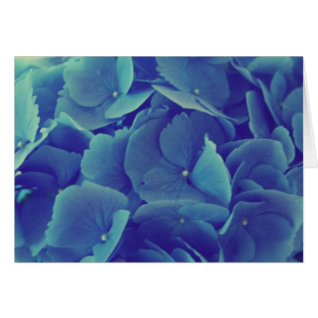 Hermosa Hydrangea Azul (Anverso (Horizontal))