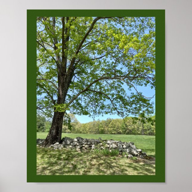 Hermosa impresión del Día de Primavera (Frente)