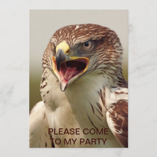 Hermosa invitación al Halcón Lanner