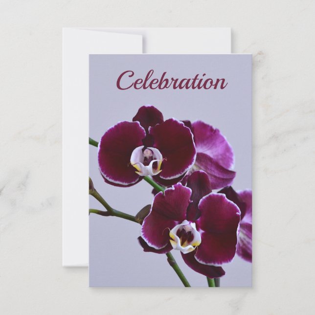 Hermosa invitación de celebración de orquídea púrp (Anverso)
