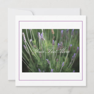 Hermosa Lavanda Flora tu tarjeta plana de texto