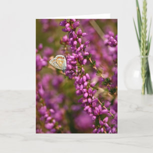Hermosa mariposa azul común - Tarjeta de saludo
