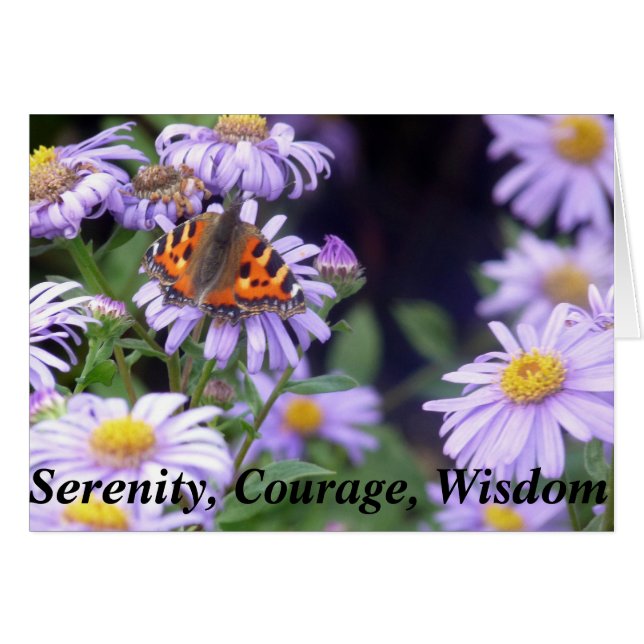 Hermosa Mariposa En La Serenidad De Las Flores (Anverso (Horizontal))