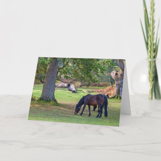 Hermosa Nueva Pony Forestal - Tarjeta de felicitac (Anverso)