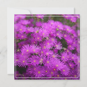 Hermosa pintura rosada Flora tu tarjeta plana de t